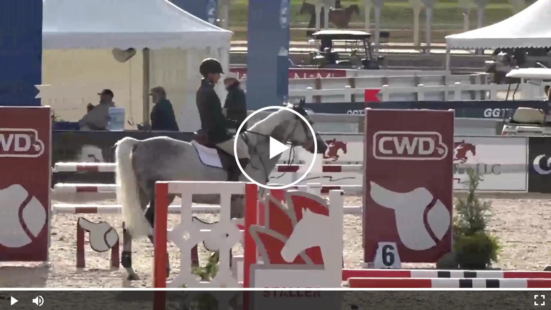 Gray show jumping horse with rider in a competition arena, standing between red-and-white obstacles, with a centered play button overlay indicating a video.