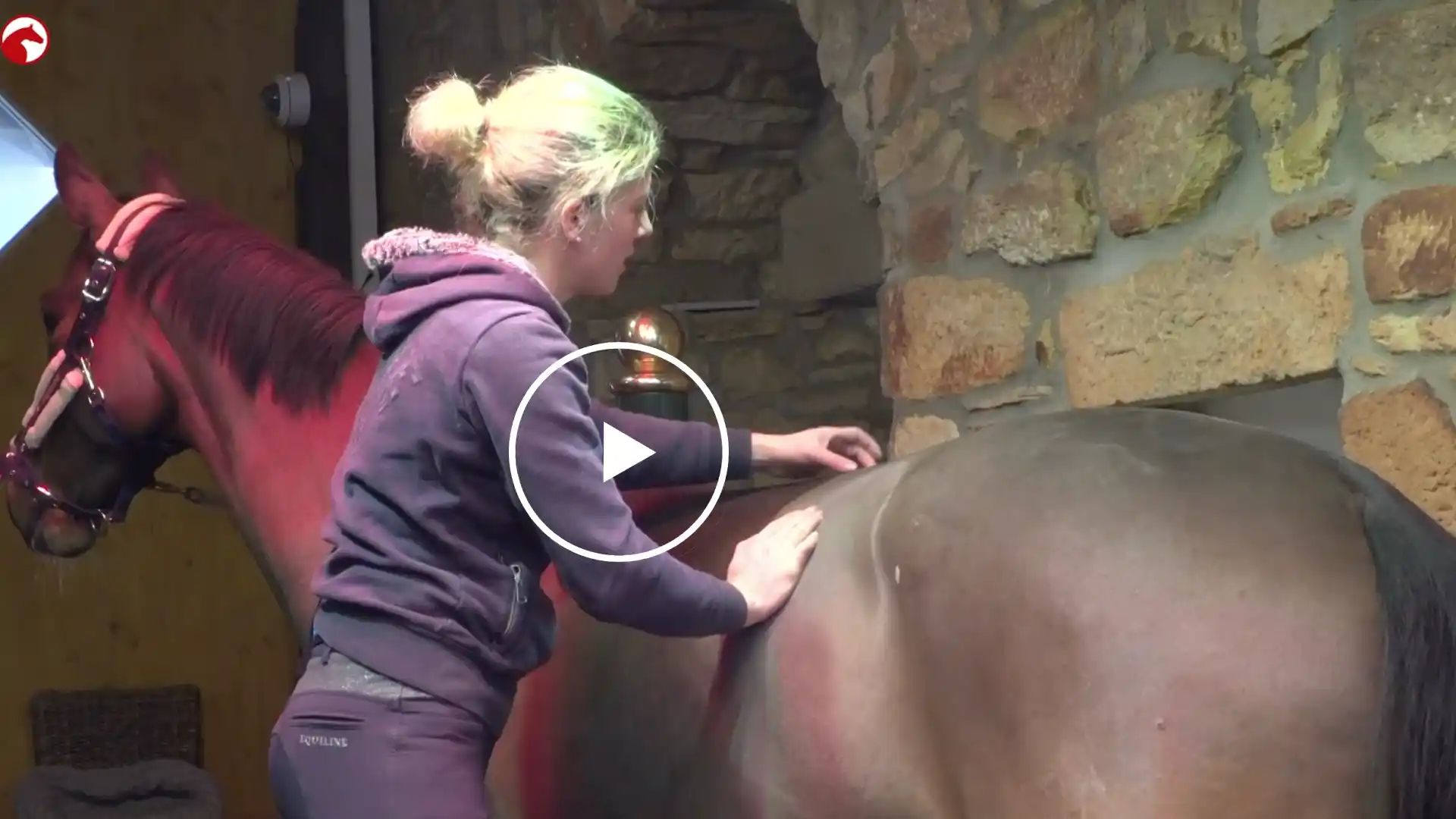 Therapeutin massiert am Pferd die Rückenmuskulatur neben der Wirbelsäule, um Verspannungen zu lösen und die Beweglichkeit im Rücken zu unterstützen. Link zum Video