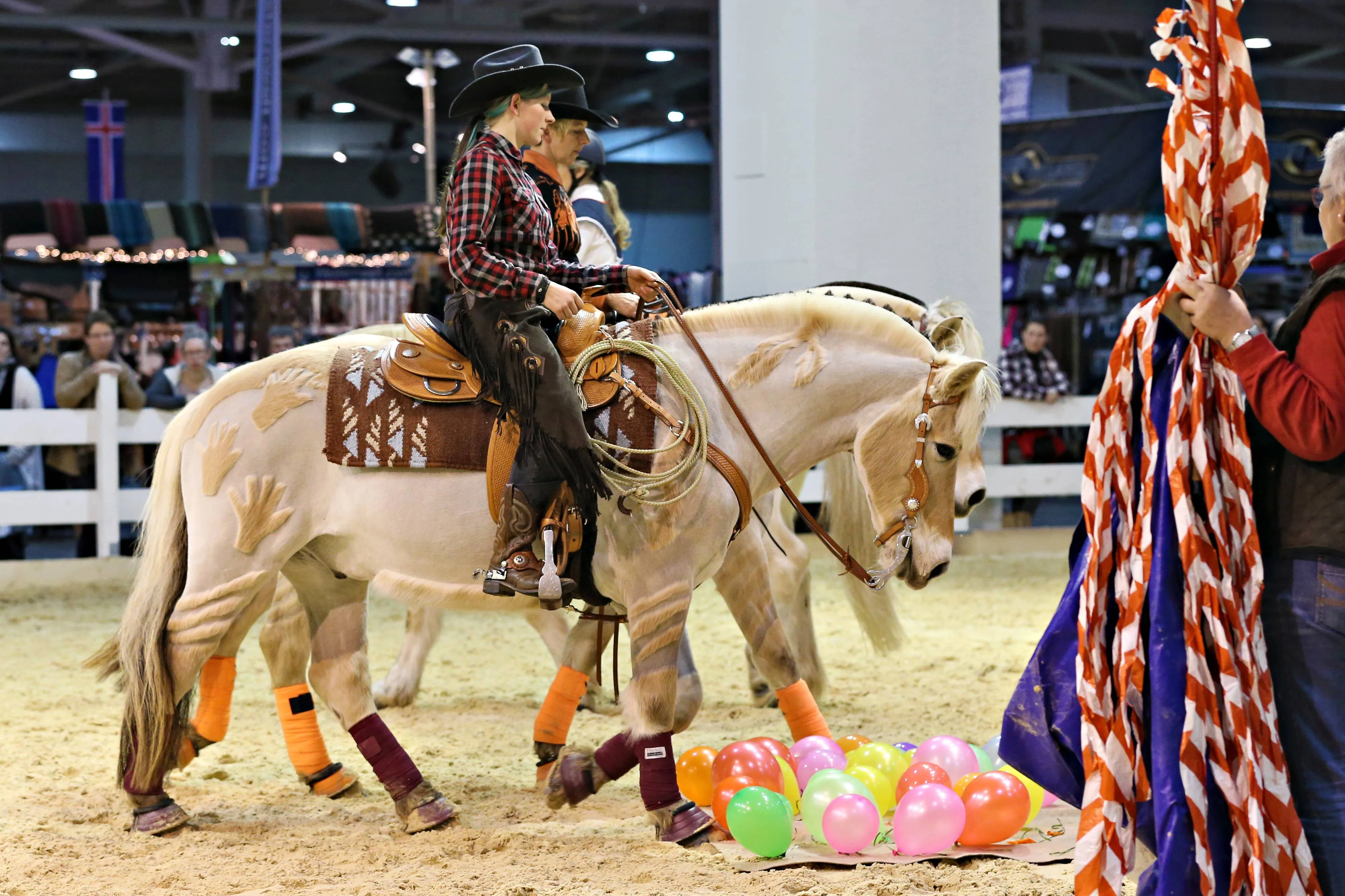 Zwei Fjordpferde beim Westernreiten in einer Messehalle, geritten von Reiterinnen im Westernsattel und umgeben von Zuschauern.