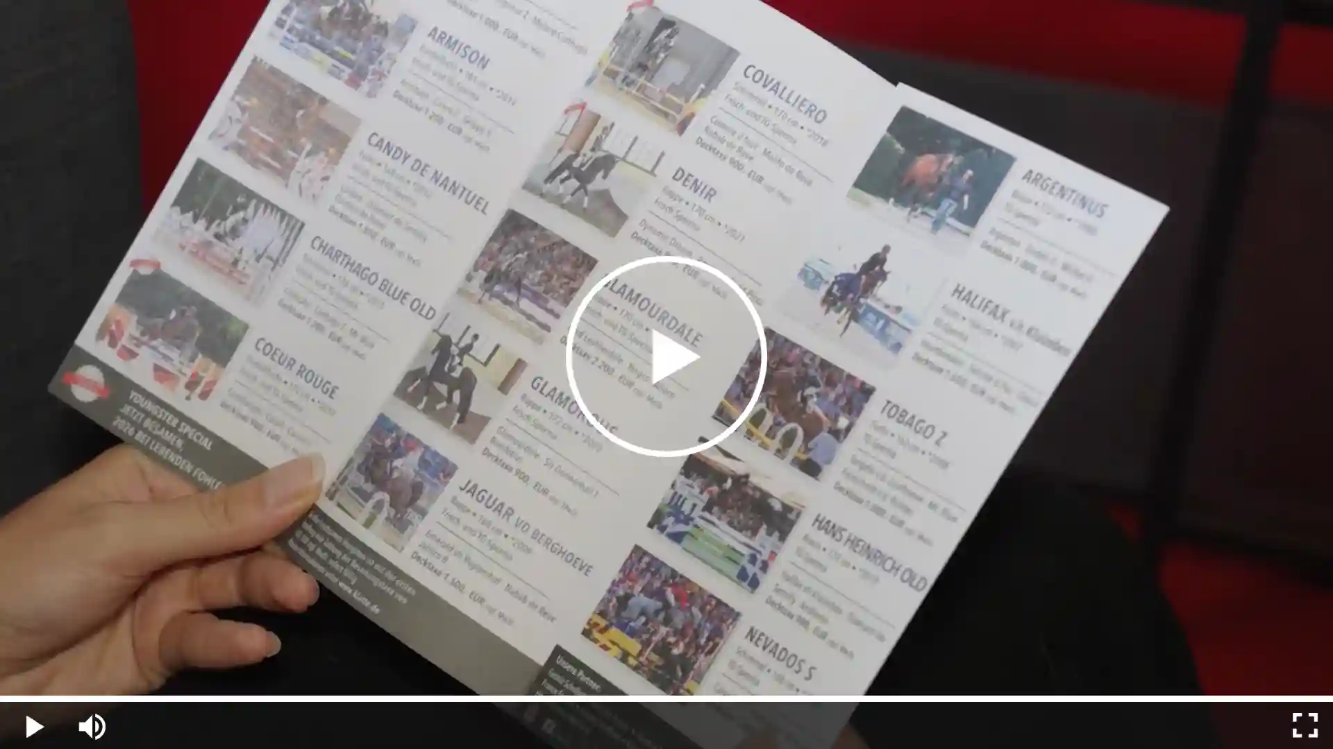 Hand hält einen aufgeschlagenen Zuchtkatalog mit Hengstporträts und Steckbriefen – Überblick zur Hengstauswahl in der Pferdezucht.