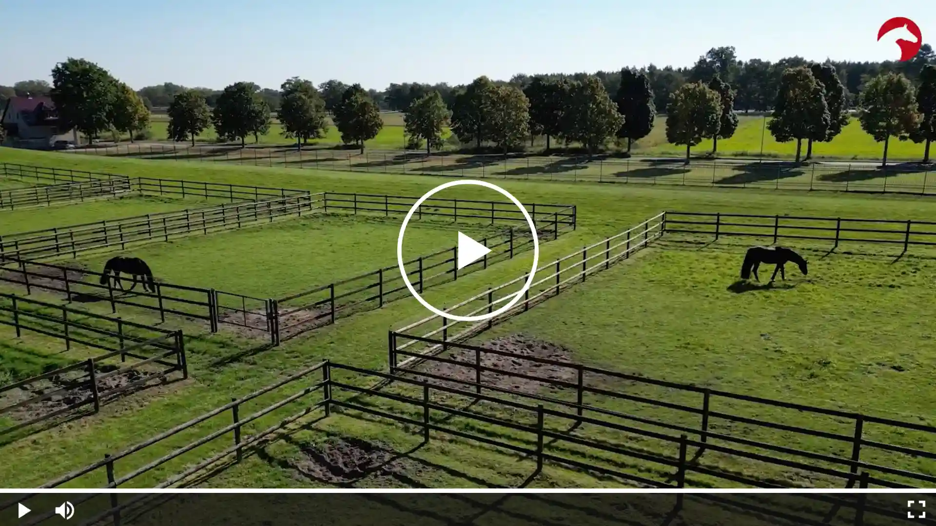Luftaufnahme von grünen Weiden mit eingezäunten Paddocks, in denen mehrere Pferde grasen