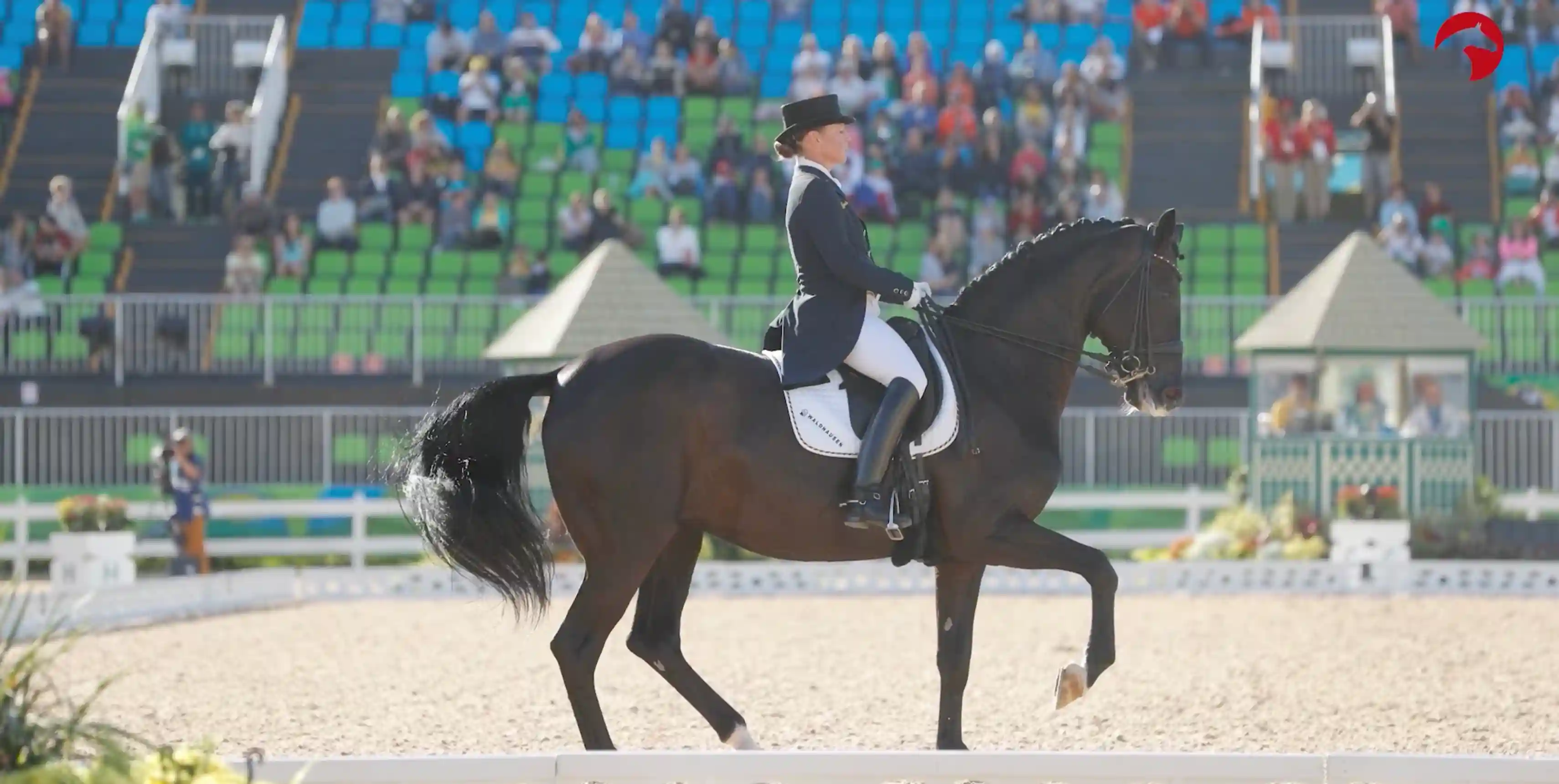 Dressurreiterin im Frack und Zylinder reitet ein dunkelbraunes Pferd im Viereck; im Hintergrund Tribünen mit blau-grünen Sitzreihen und Zuschauern.