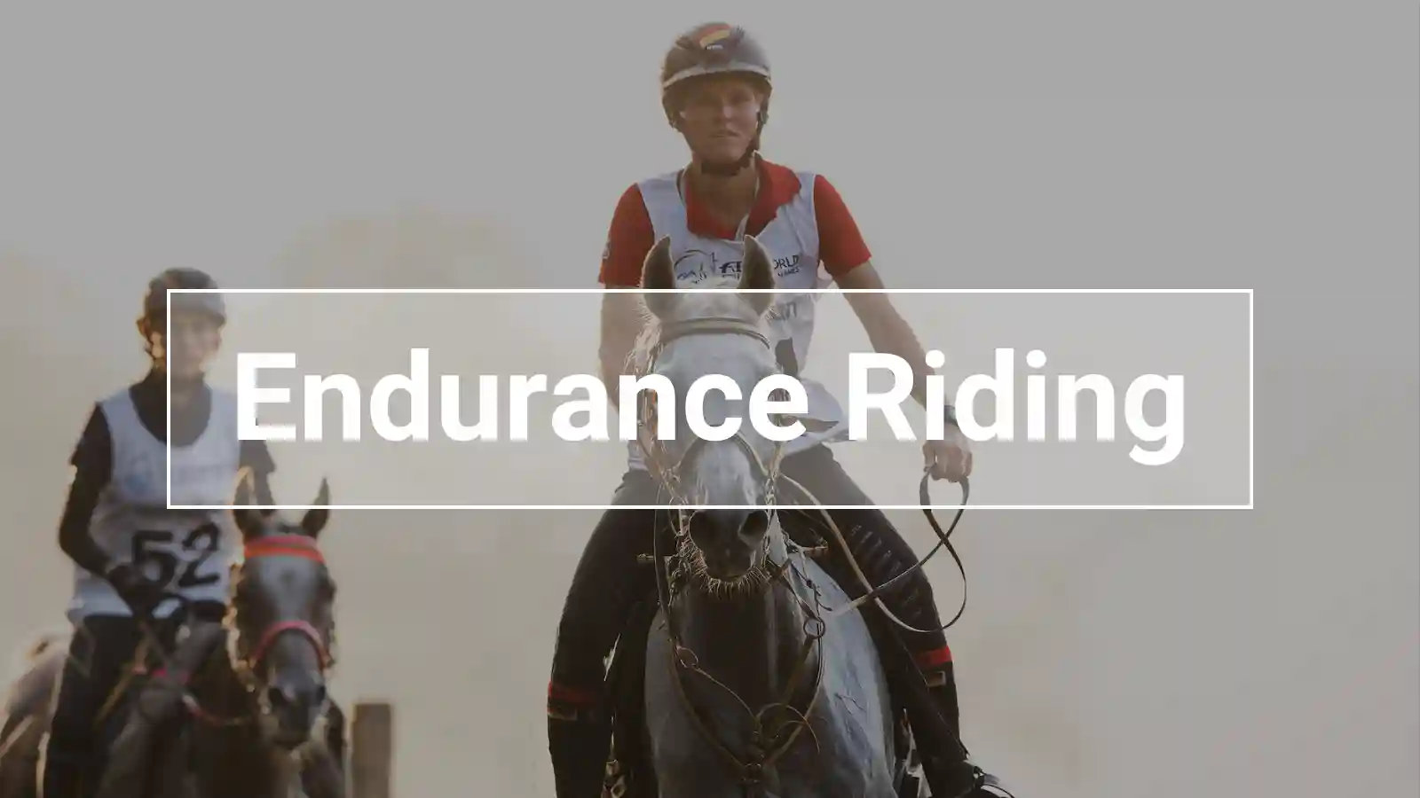Endurance rider on an Arabian-type horse during a long-distance ride—endurance equestrian sport over great distances, with a focus on fitness and partnership.