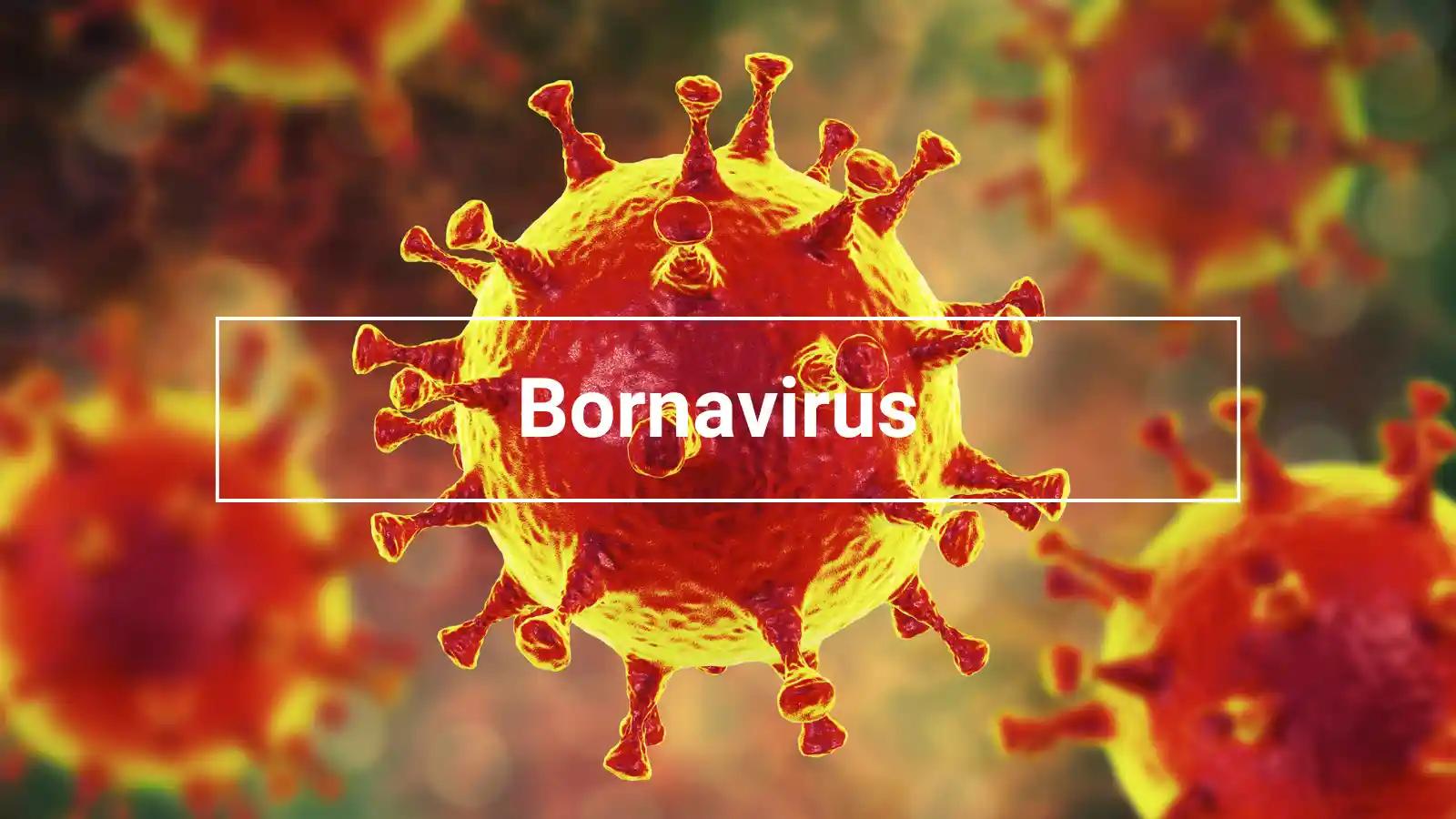 Nahaufnahme eines stilisierten Viruspartikels in Rot-Gelb vor unscharfem Hintergrund; darüber ein transparenter Kasten mit der Aufschrift „Bornavirus“.
