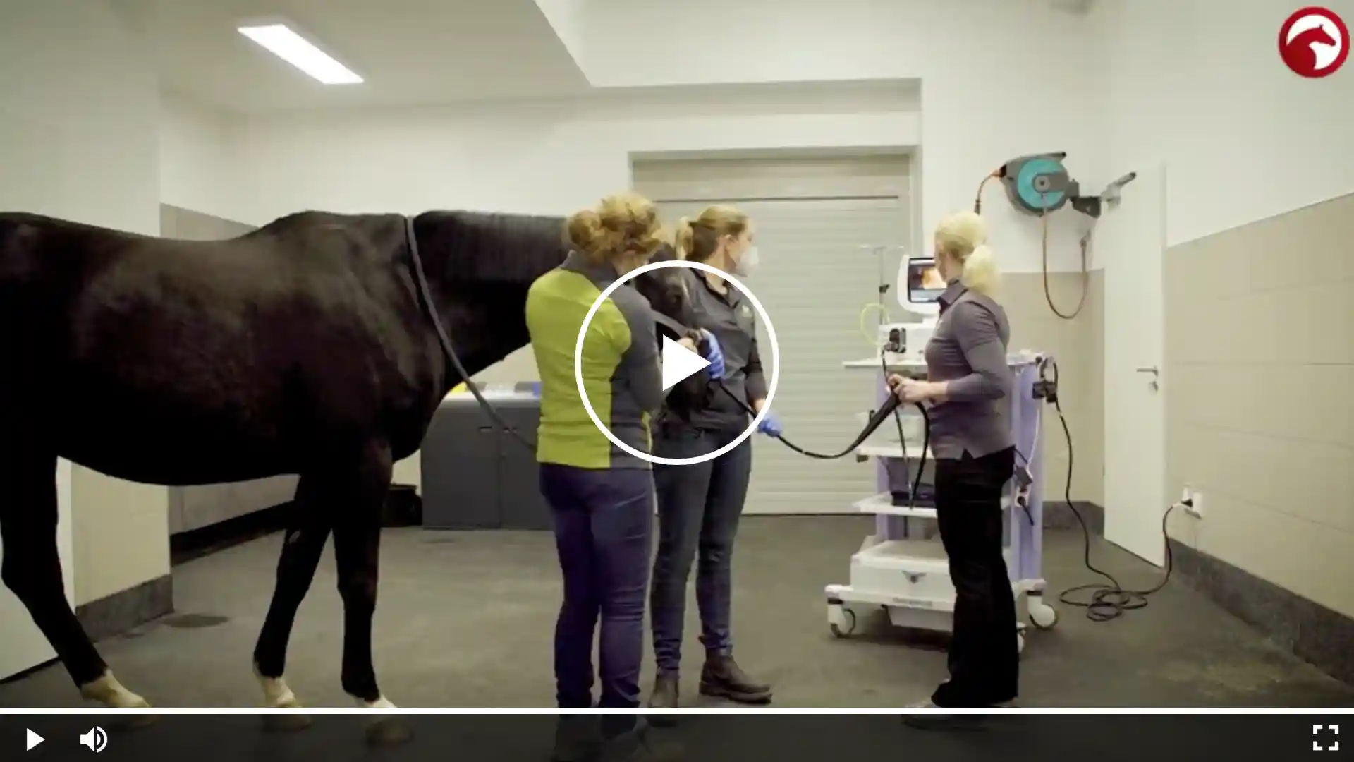 Tierärztliche Untersuchung eines Pferdes in einer Klinik mit medizinischem Gerät, mehrere Fachpersonen anwesend; mittig eingeblendeter Play-Button.