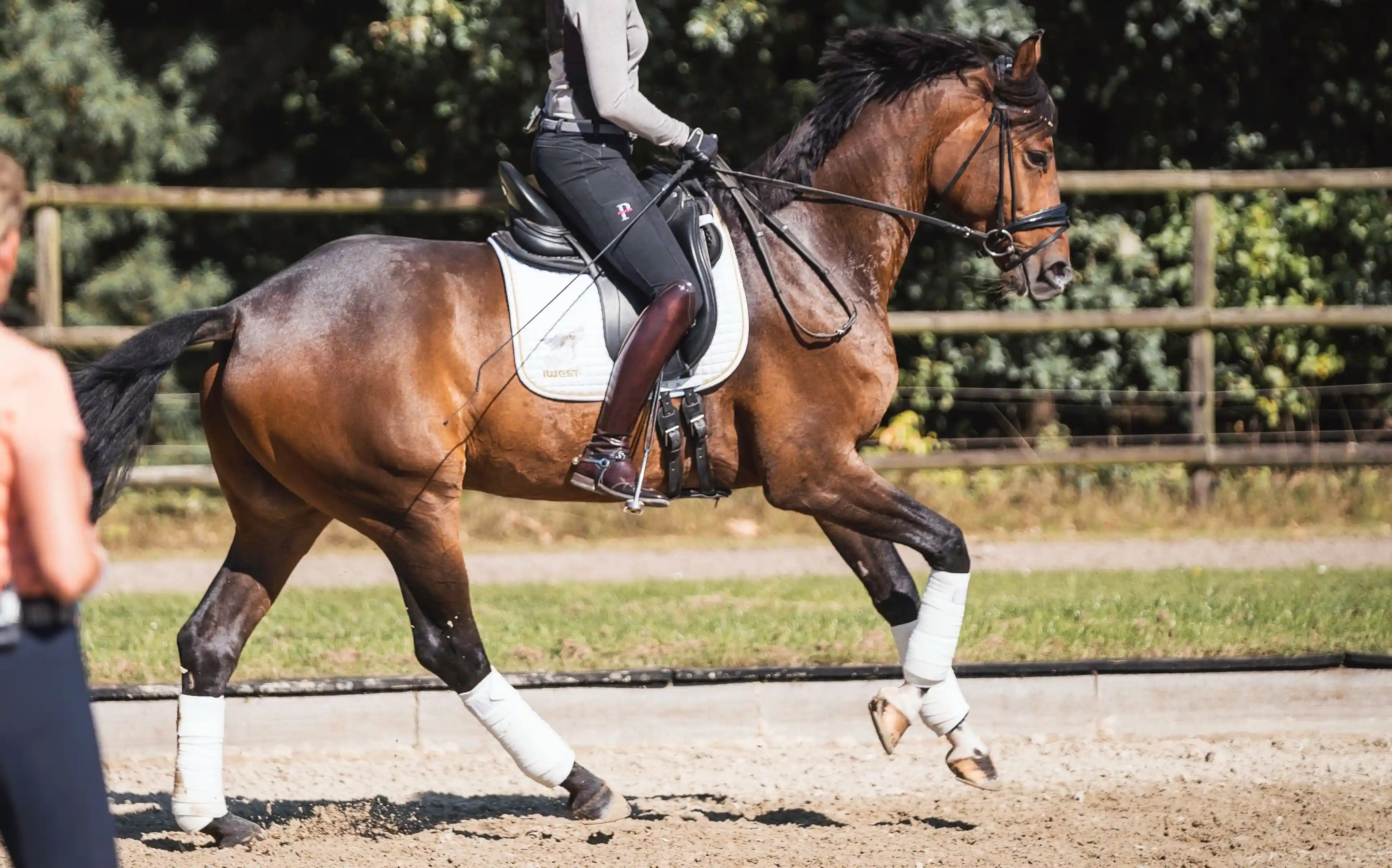 Ausbilderin auf einem Außenplatz gibt Anweisungen, im Hintergrund reitet eine Person ein Pferd.