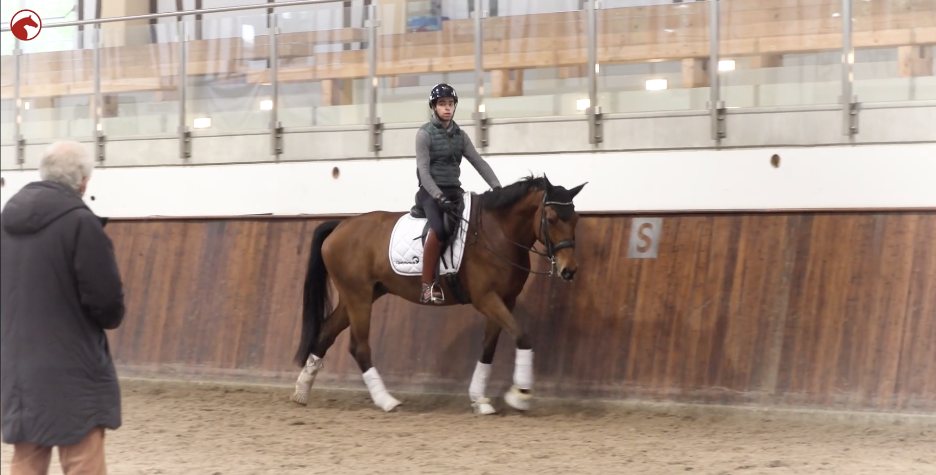  Rider training a horse in an indoor arena during a lesson, horse moving in a relaxed frame along the wall while an instructor observes nearby
