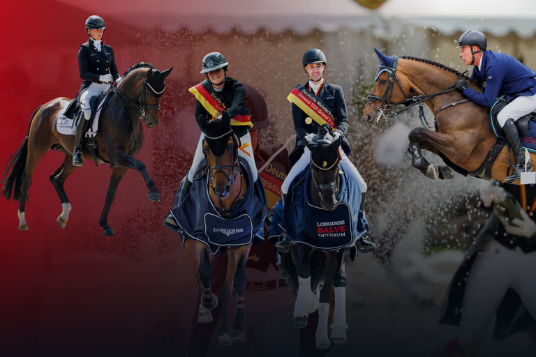 Collage featuring dressage and show jumping riders at the LONGINES BALVE OPTIMUM against a dark background with a red accent.