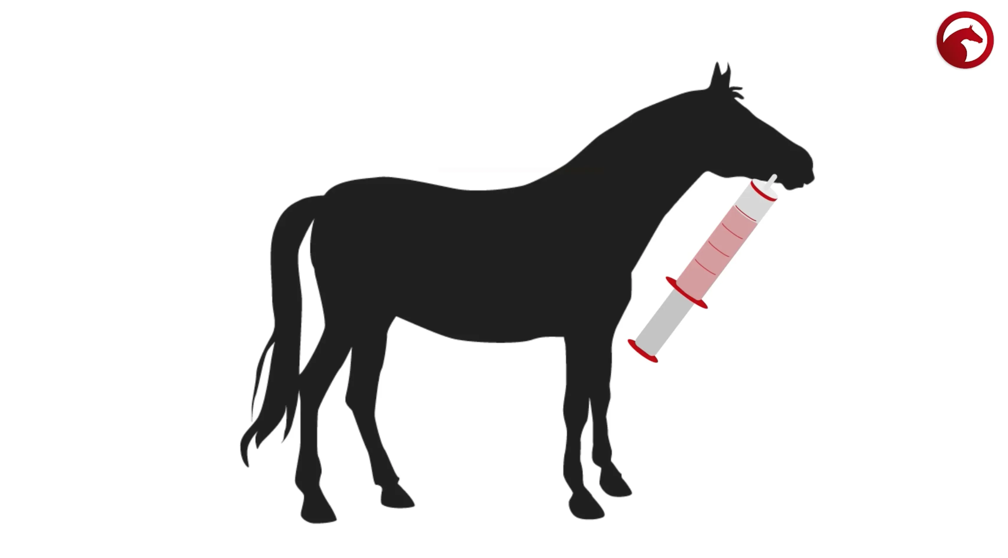Schwarze Silhouette eines Pferdes auf weißem Hintergrund, das eine große Spritze im Maul hält; oben rechts ist das ClipMyHorse.TV-Logo eingeblendet.