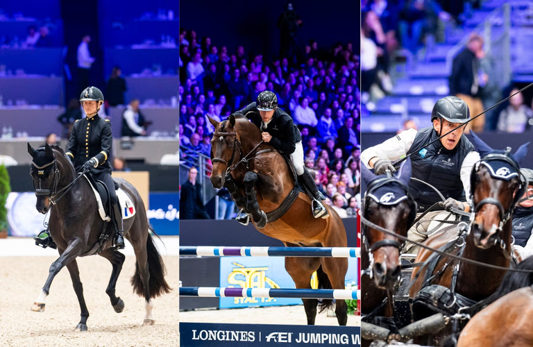 Dressurreiterin, Springreiter und Vierspänner-Fahrer beim FEI World Cup™ Jumping-Dressage-Driving in Lyon.