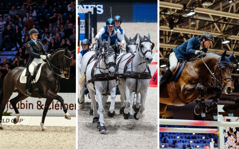 Collage from the FEI World Cup in Lyon featuring a dressage rider, a four-in-hand carriage, and a show jumper in the arena.