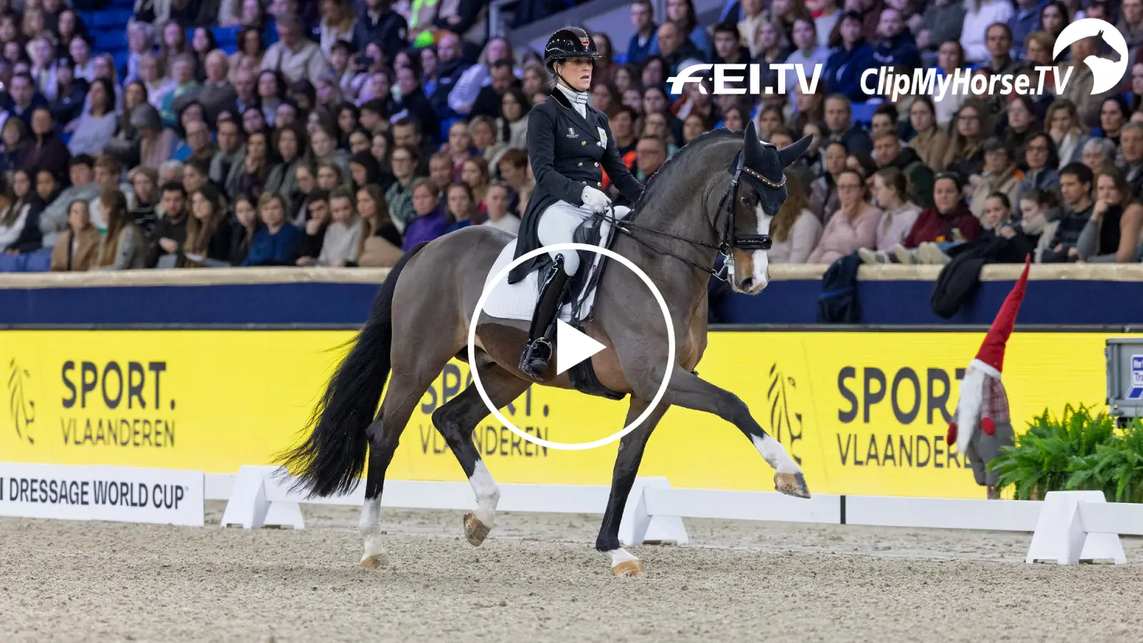 Pauluis und Flambeau win the Grand Prix