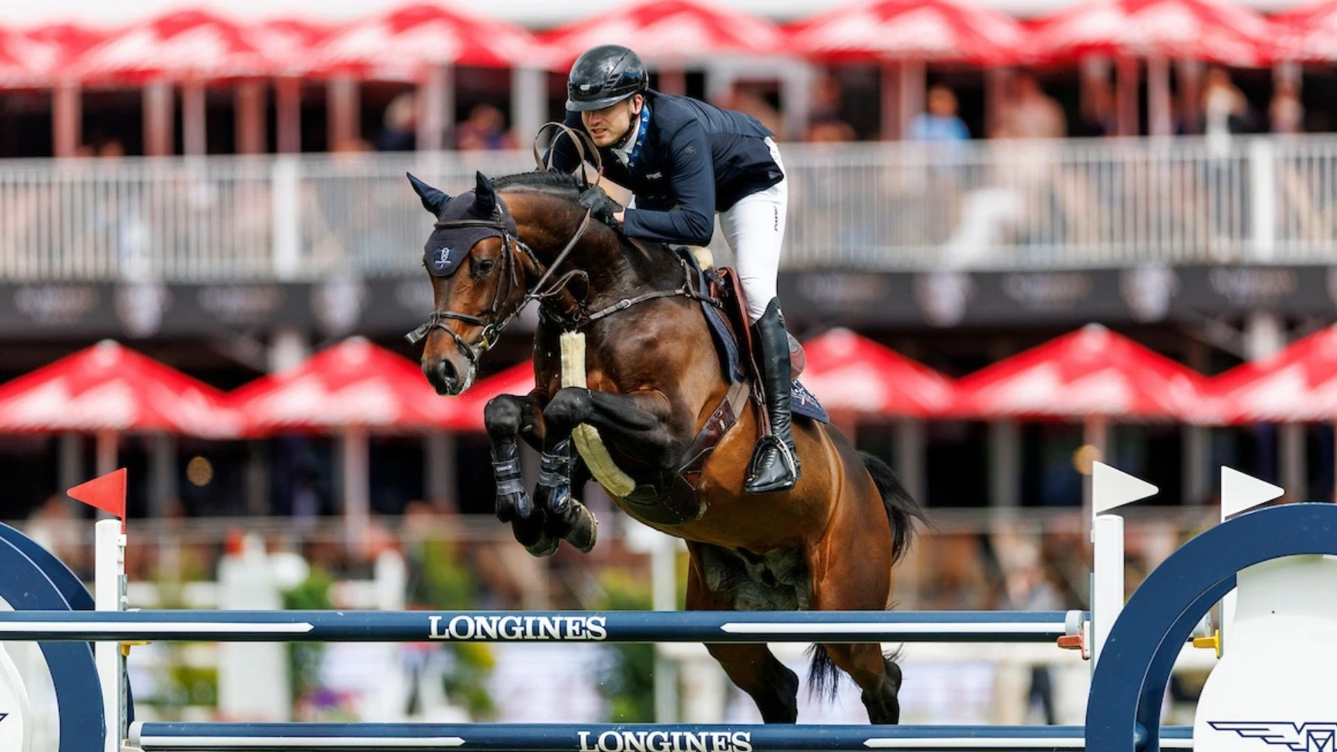 Württemberger Warmblut mit Reiter beim Sprung über ein Hindernis auf einem internationalen Reitturnier.