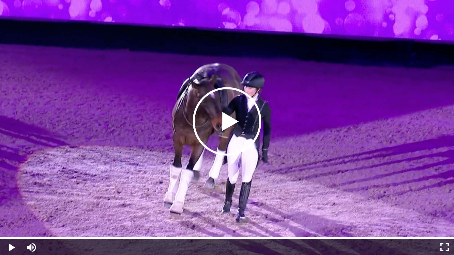 Reiterin mit ihrem Pferd bei einer Show unter violetter Beleuchtung in der Arena.