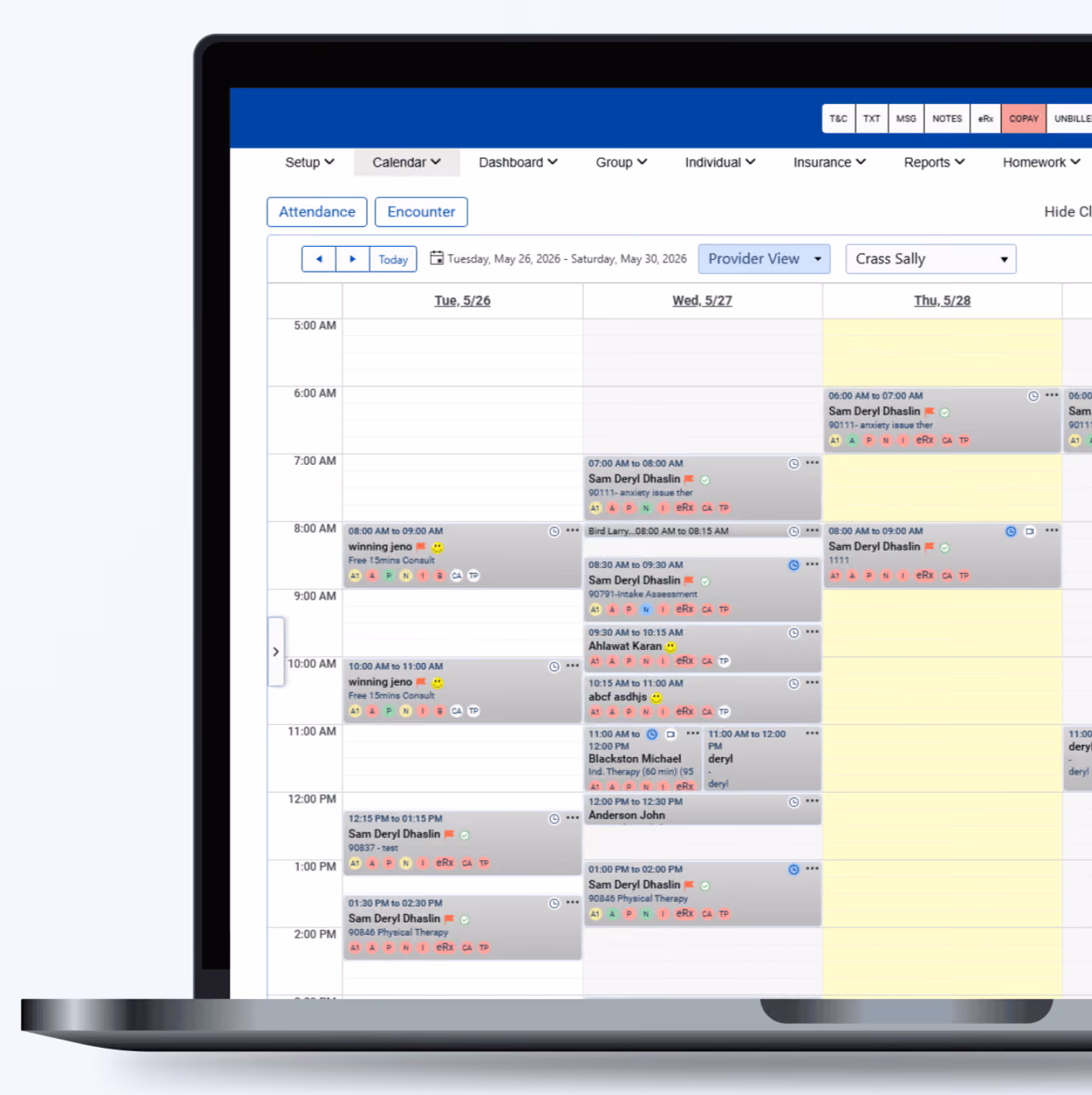 The legacy image of Therasoft's calendar