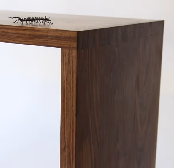 Absolem Desk