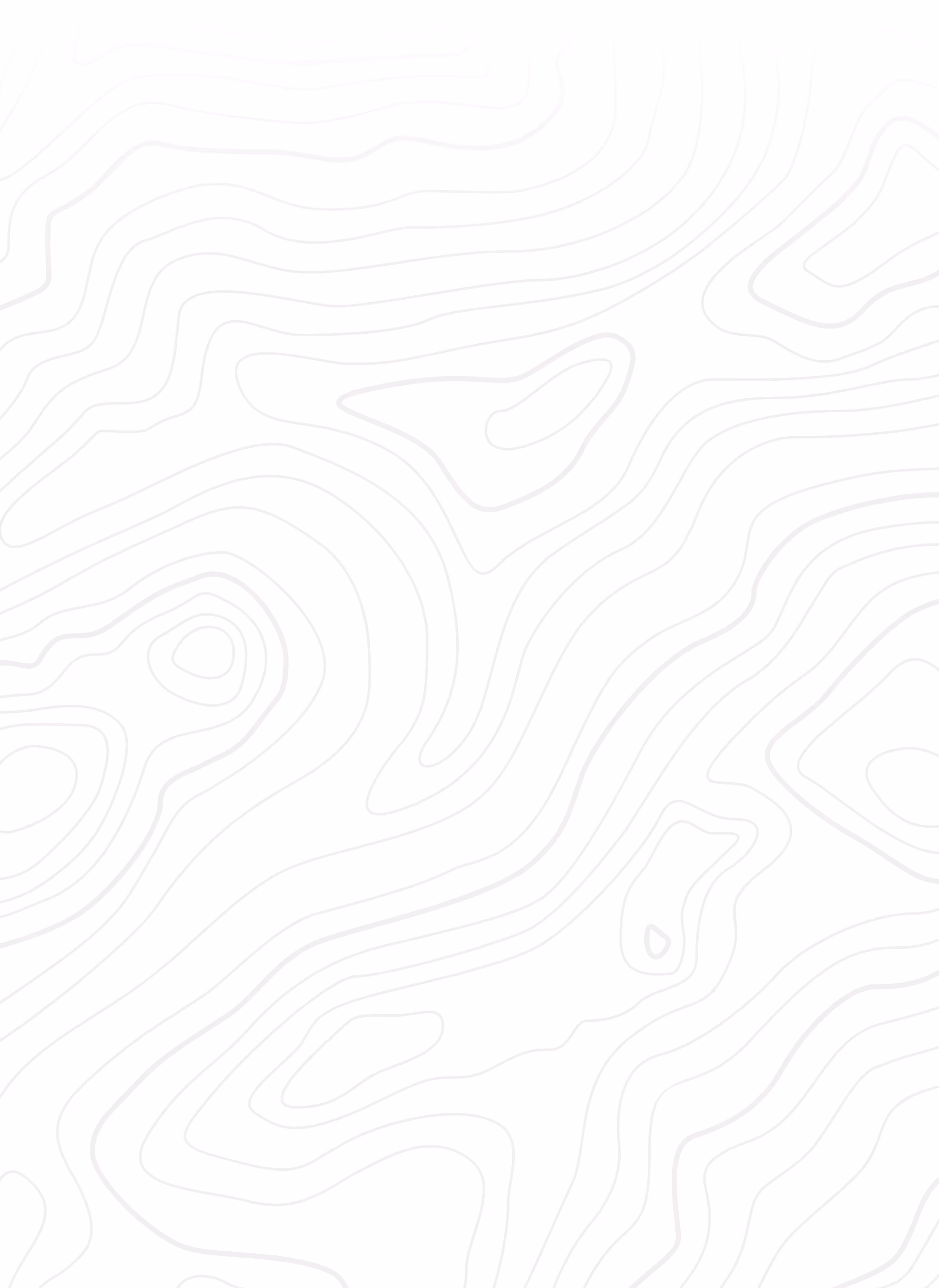 Light gray contour lines on a white background resembling a topographic map.