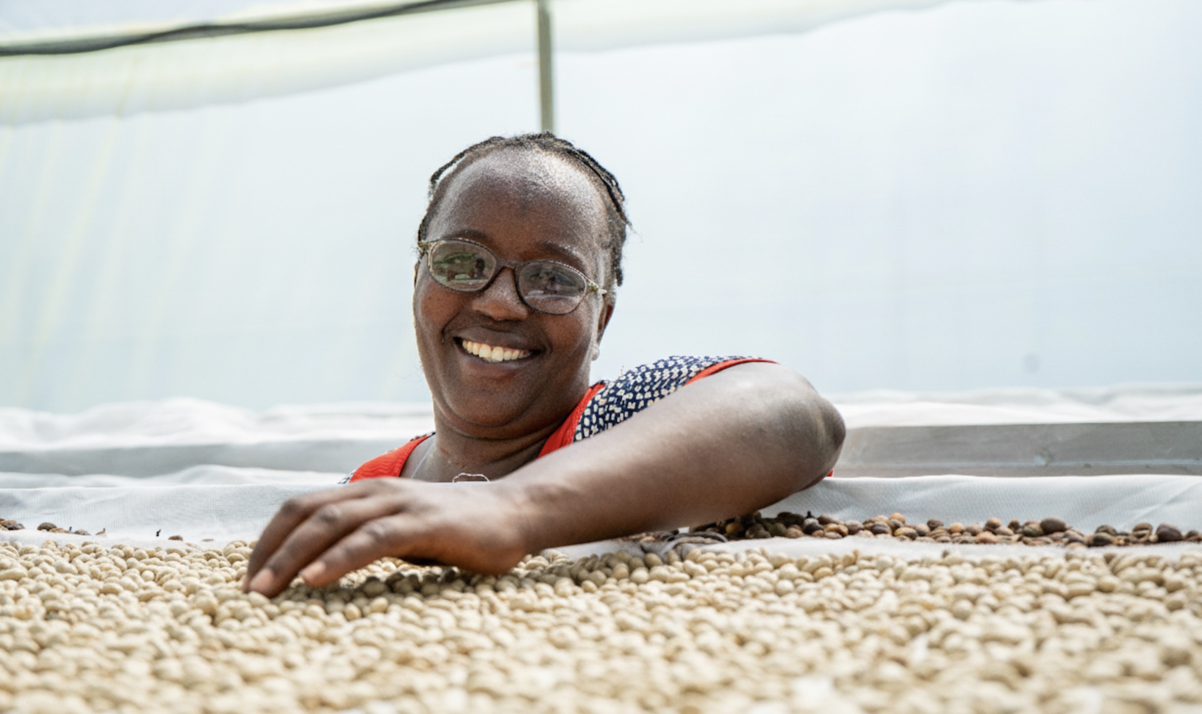 Synnefa Smart Solar Dryer installation announced in the PREO and P4G funding release