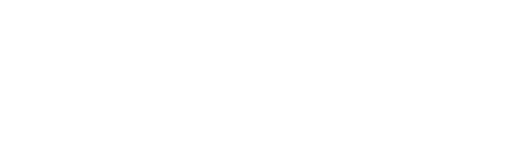 2020INC logo