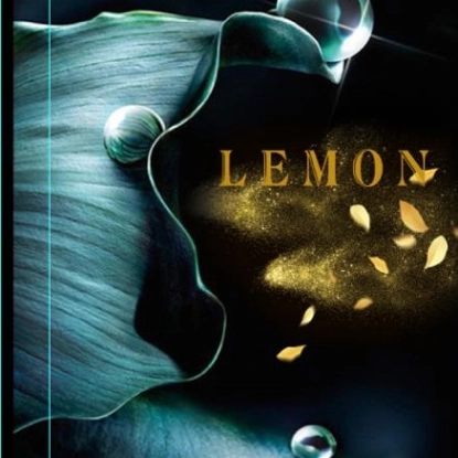 Link to new collection item