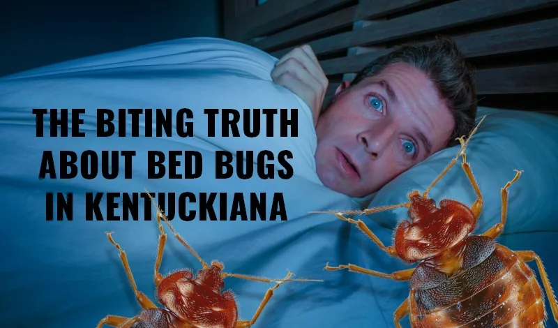 Bed Bug Infestations: How They Affect Your Health and Sleep