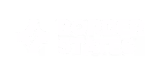 border states logo