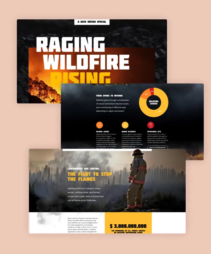 This editorial special by Maglr Studio explores the origin and impact of wildfires around the globe.