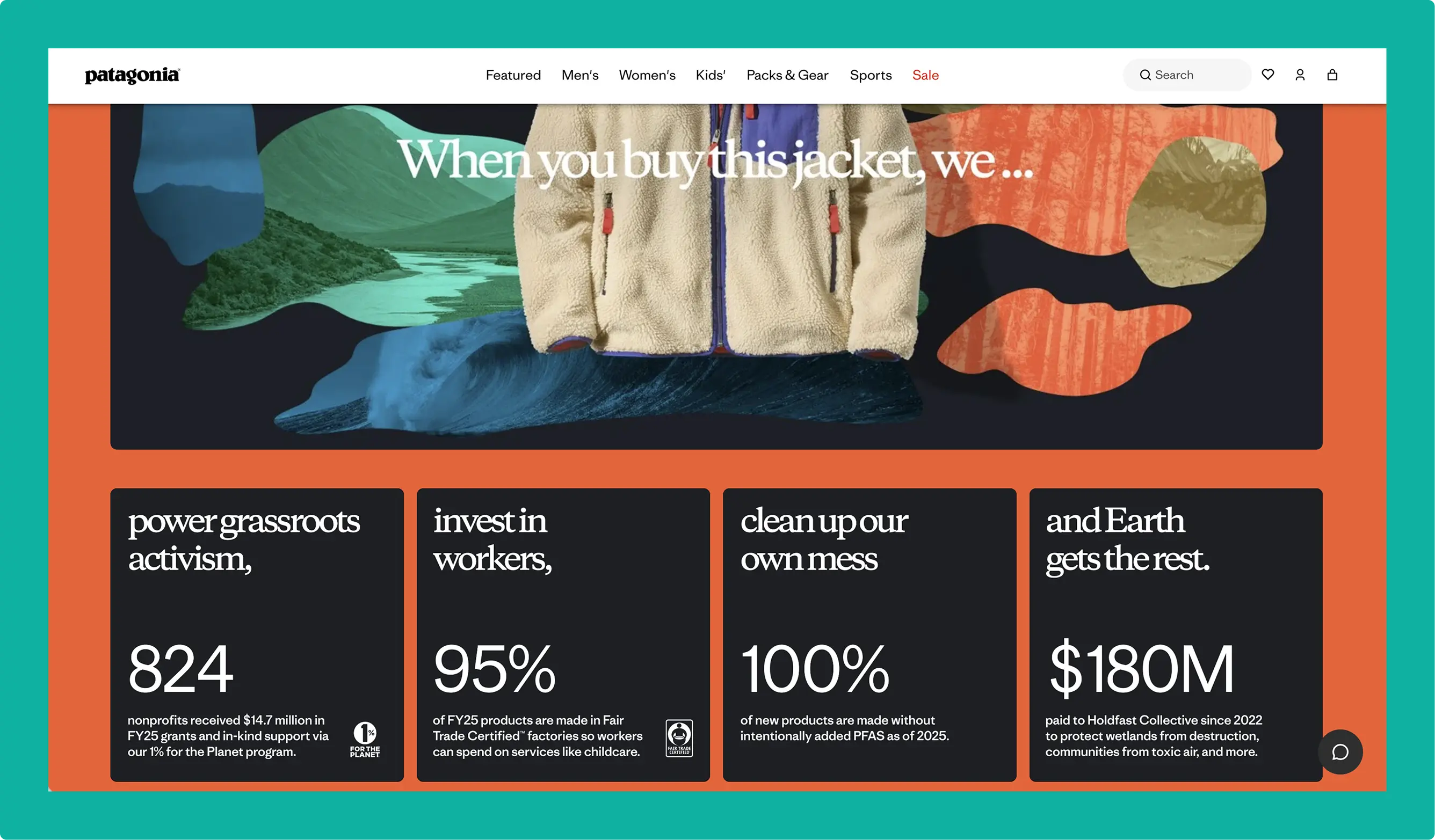 Screenshot of Patagonia report