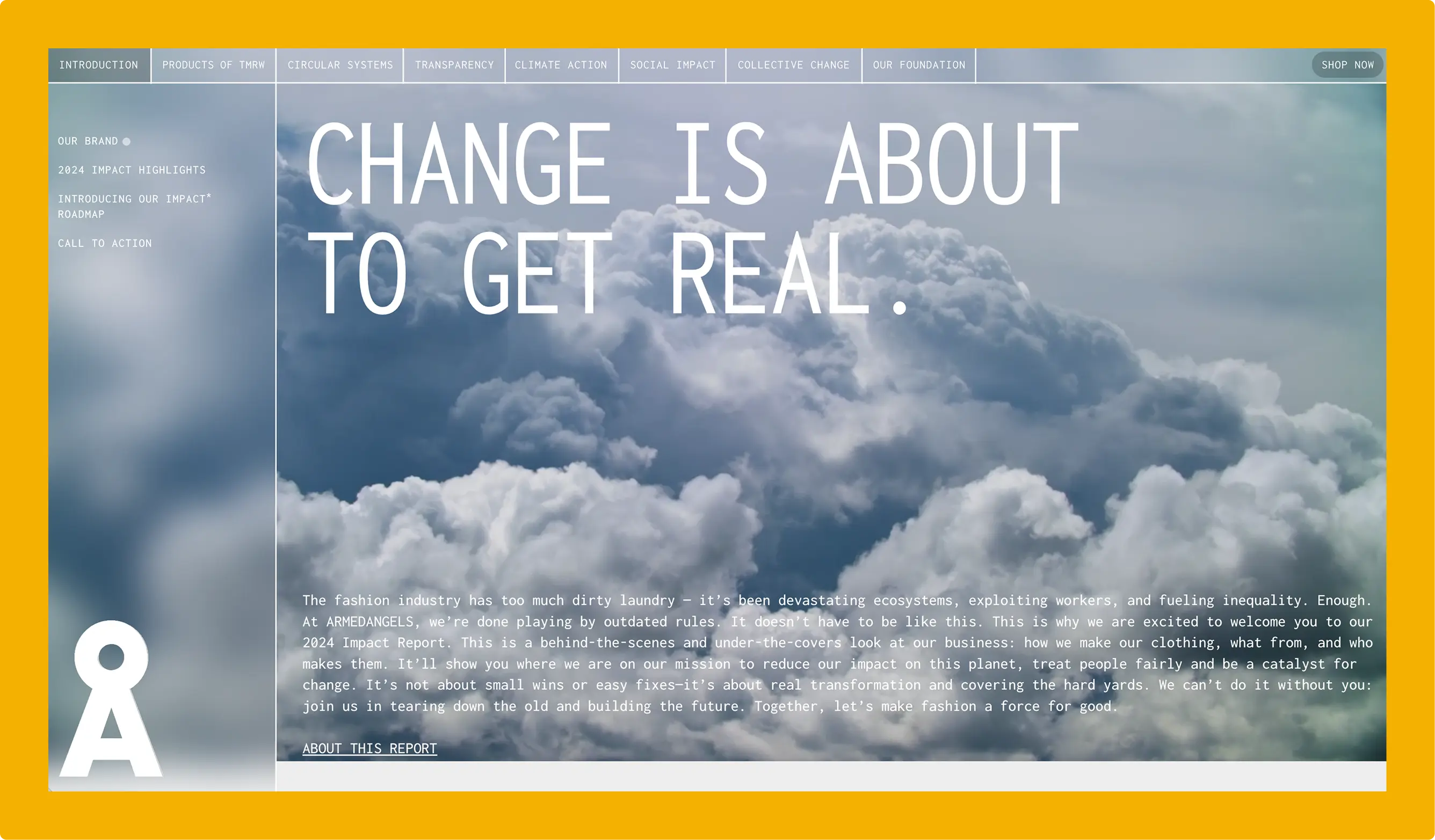 Screenshot of Armed Angels report