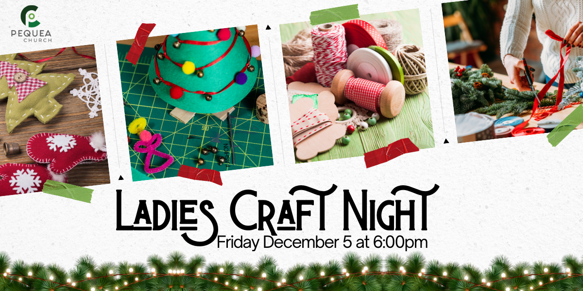 Ladies Craft Night