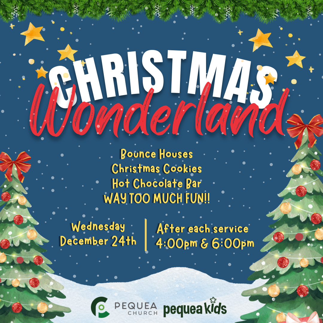 Christmas Wonderland