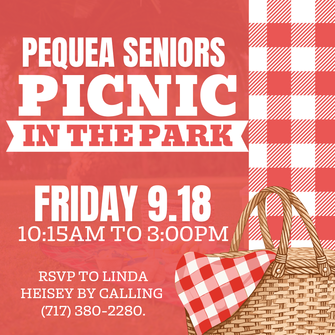 Seniors Picnic