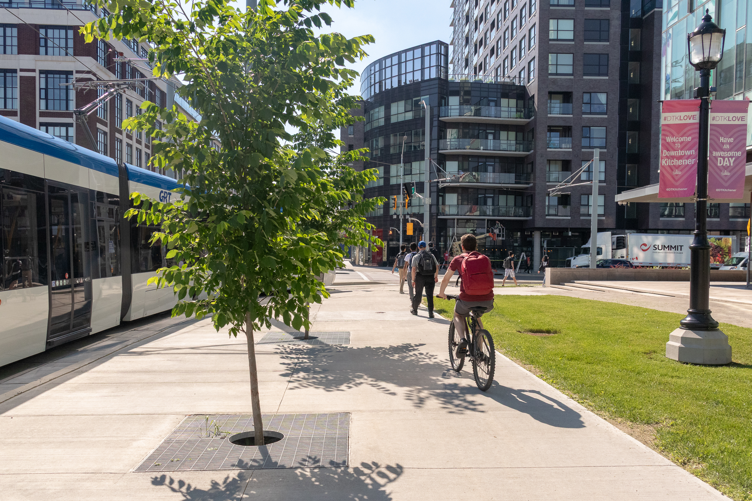 Collaborative Ecosystems: How coalitions harness harmony