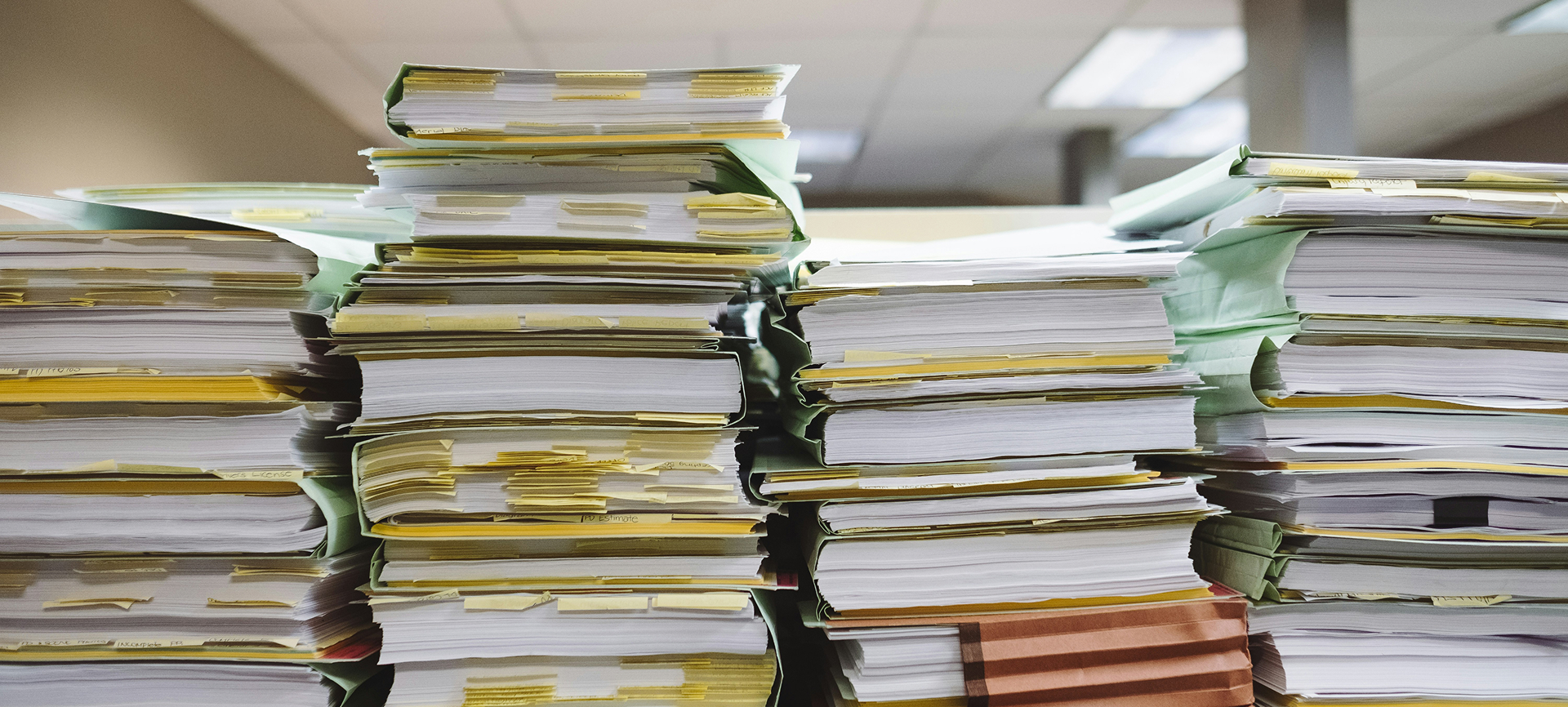 Building the Bionic Organization: How to Thrive in the Age of AI