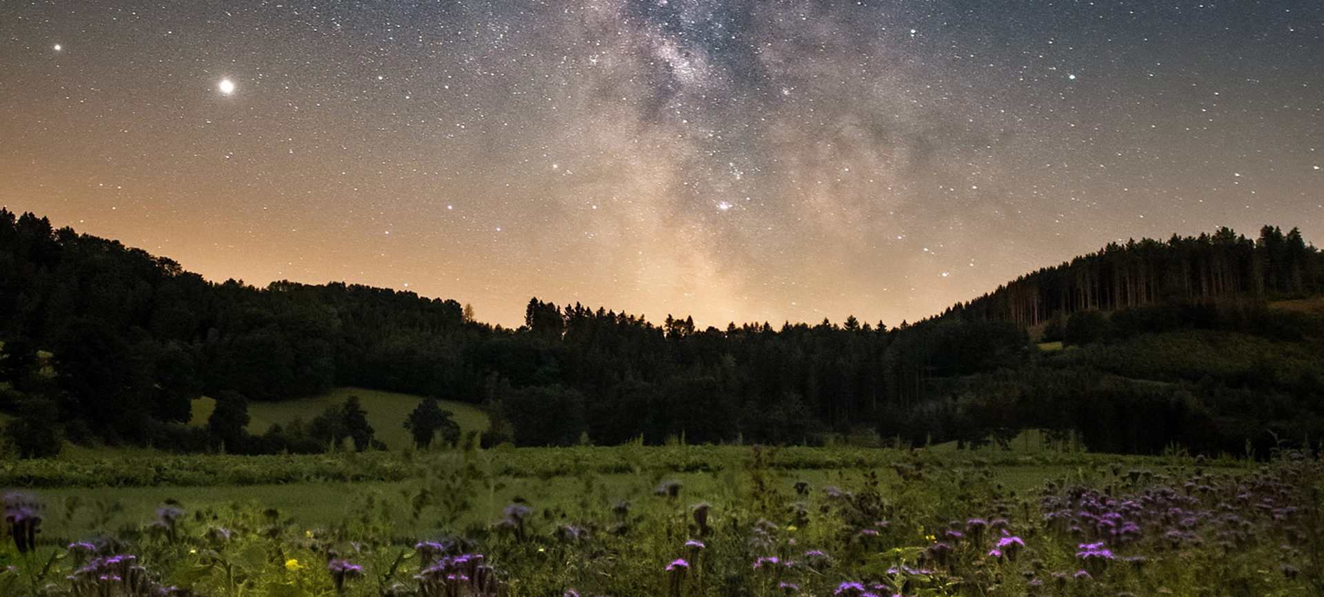 Back on the Ground: Why Culture Determines AI’s Gravity