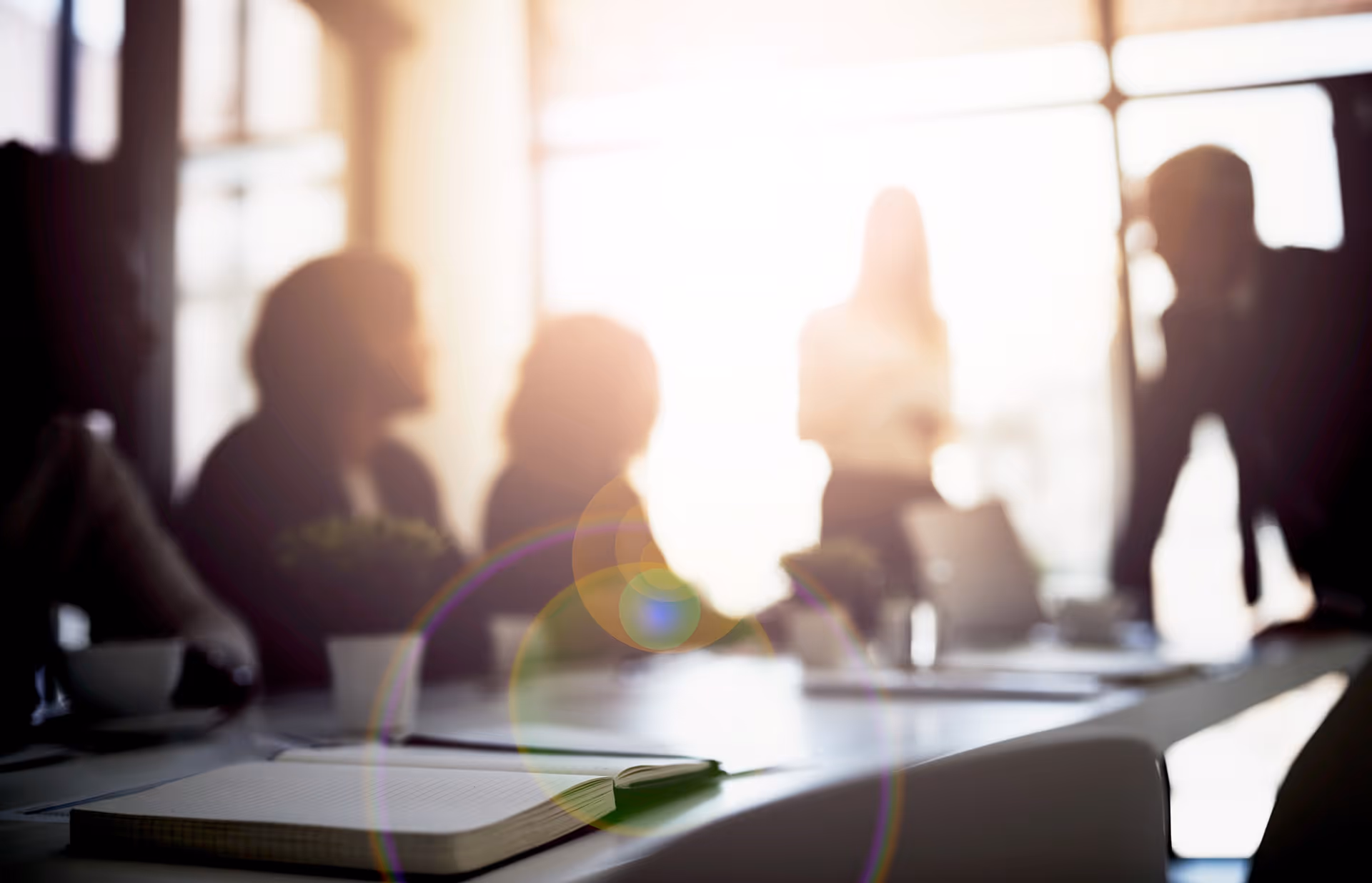 Blurred business meeting with open notebook, potted plants, and people near a sunlit window.