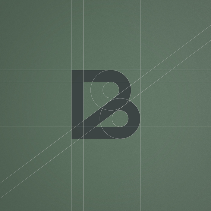 Bradley Taylor logomark with technical geometry outlined.
