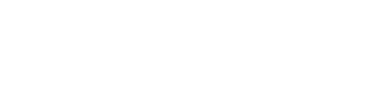 Fleeting logo
