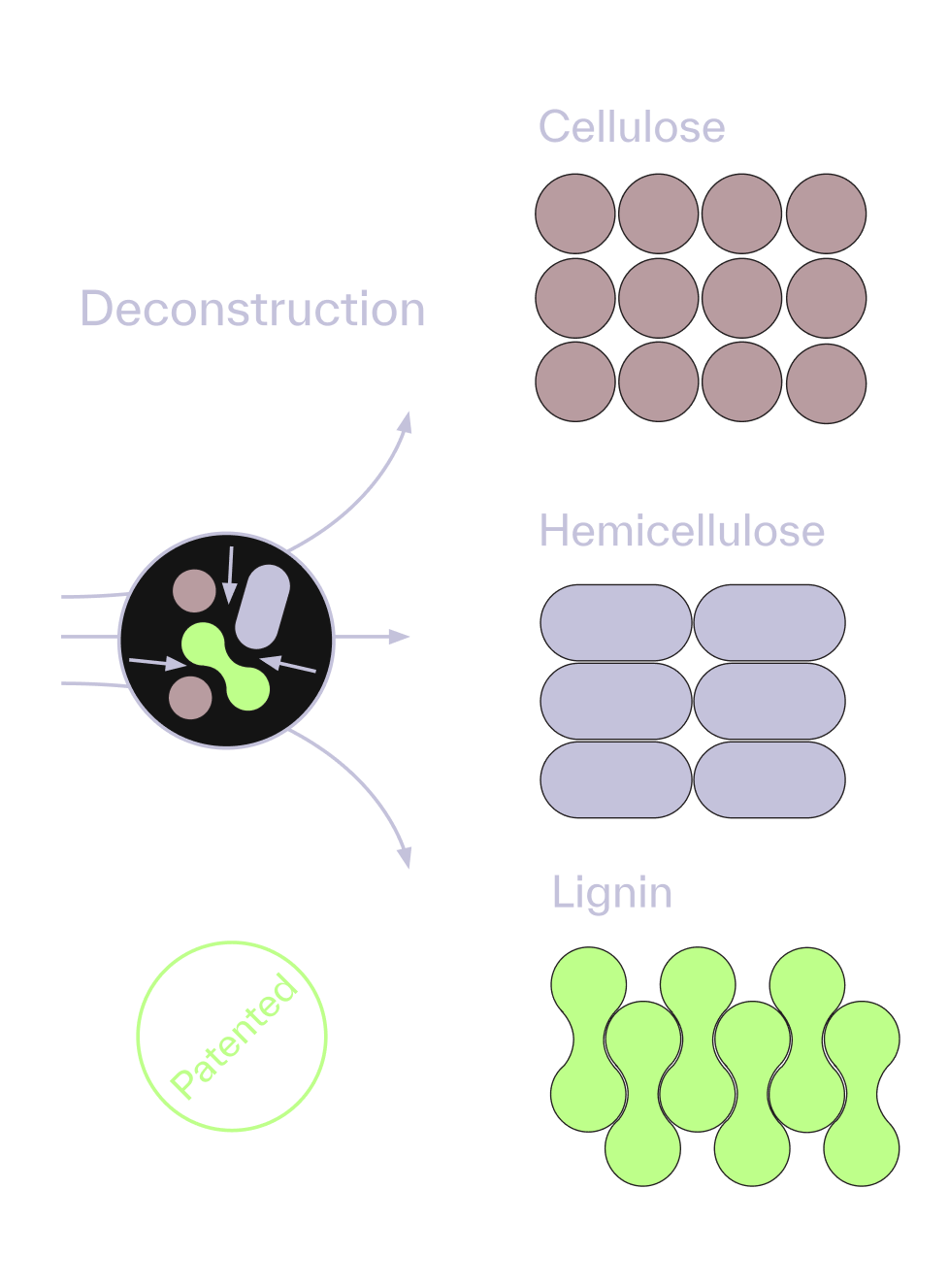 Image showing how Bloom's technology process works