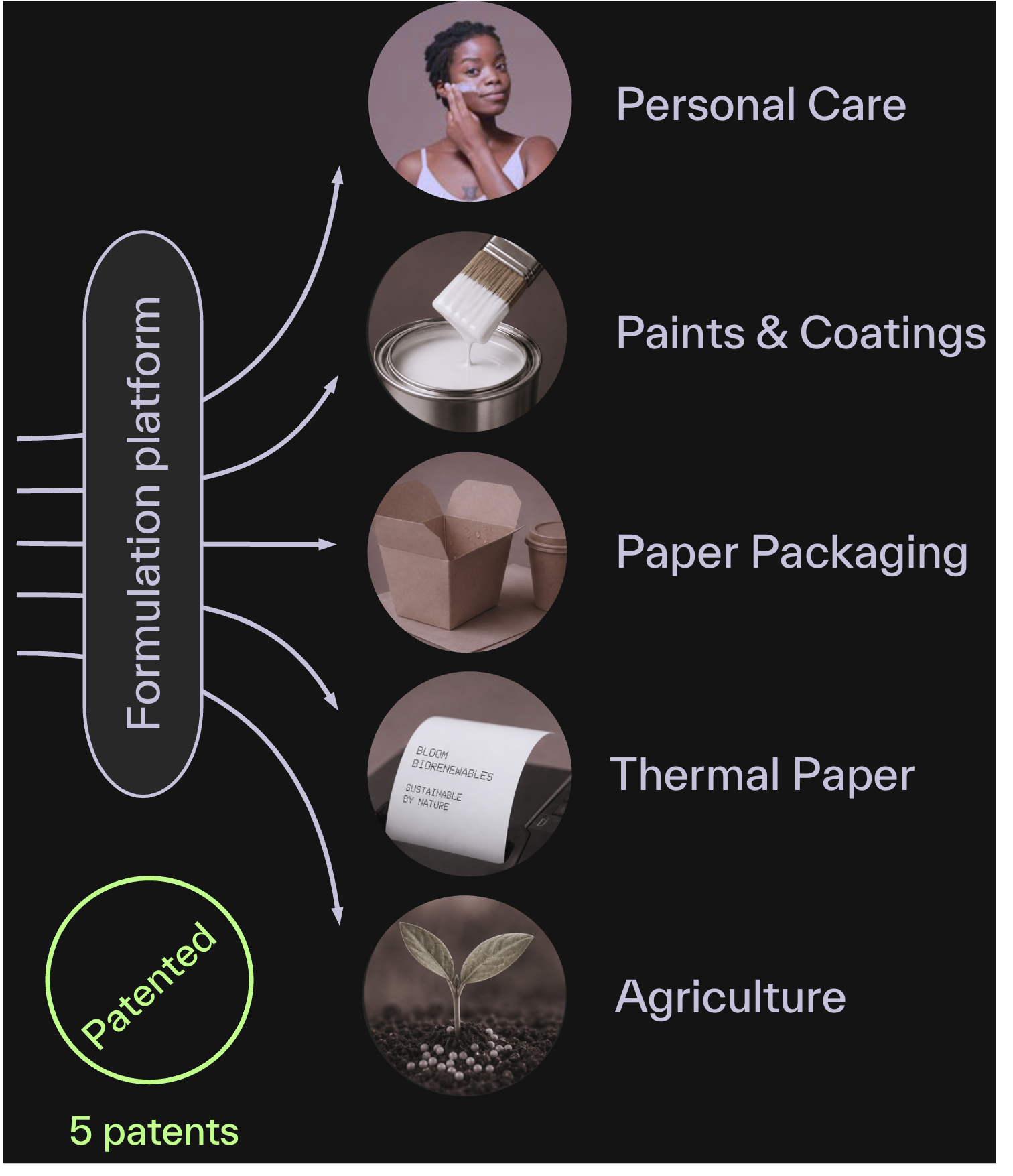 Bloom's process to breakdown lignin, cellulose and hemicellulose