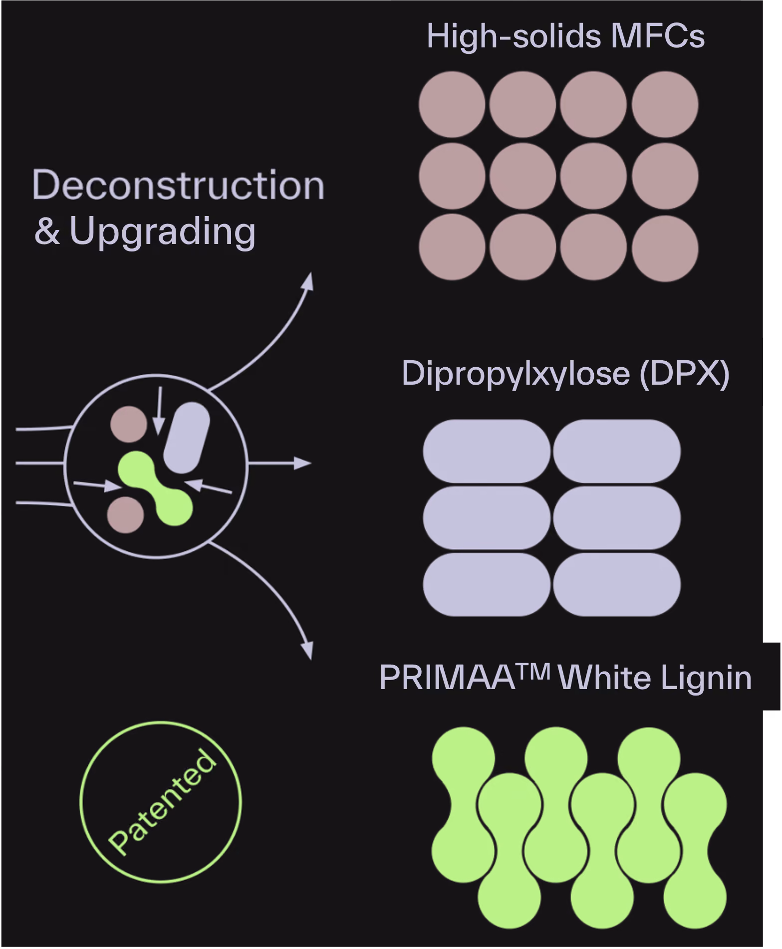 Bloom's process to breakdown lignin, cellulose and hemicellulose