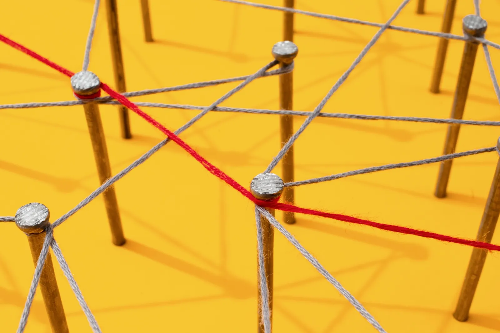 Build and Leverage Your Network