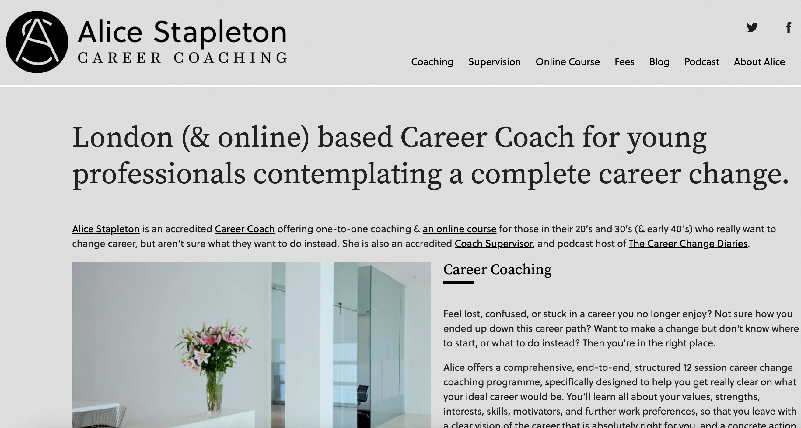 Alice Stapleton website screenshot