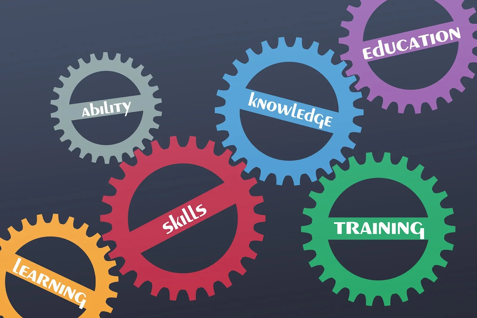 Upskilling and Reskilling Terms