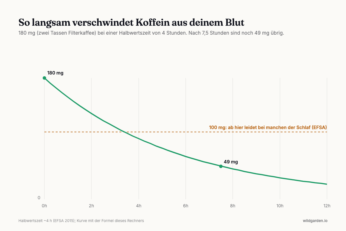 Abklingkurve von 180 mg Koffein über 12 Stunden bei 4 Stunden Halbwertszeit, mit der 100-mg-Schwelle der EFSA