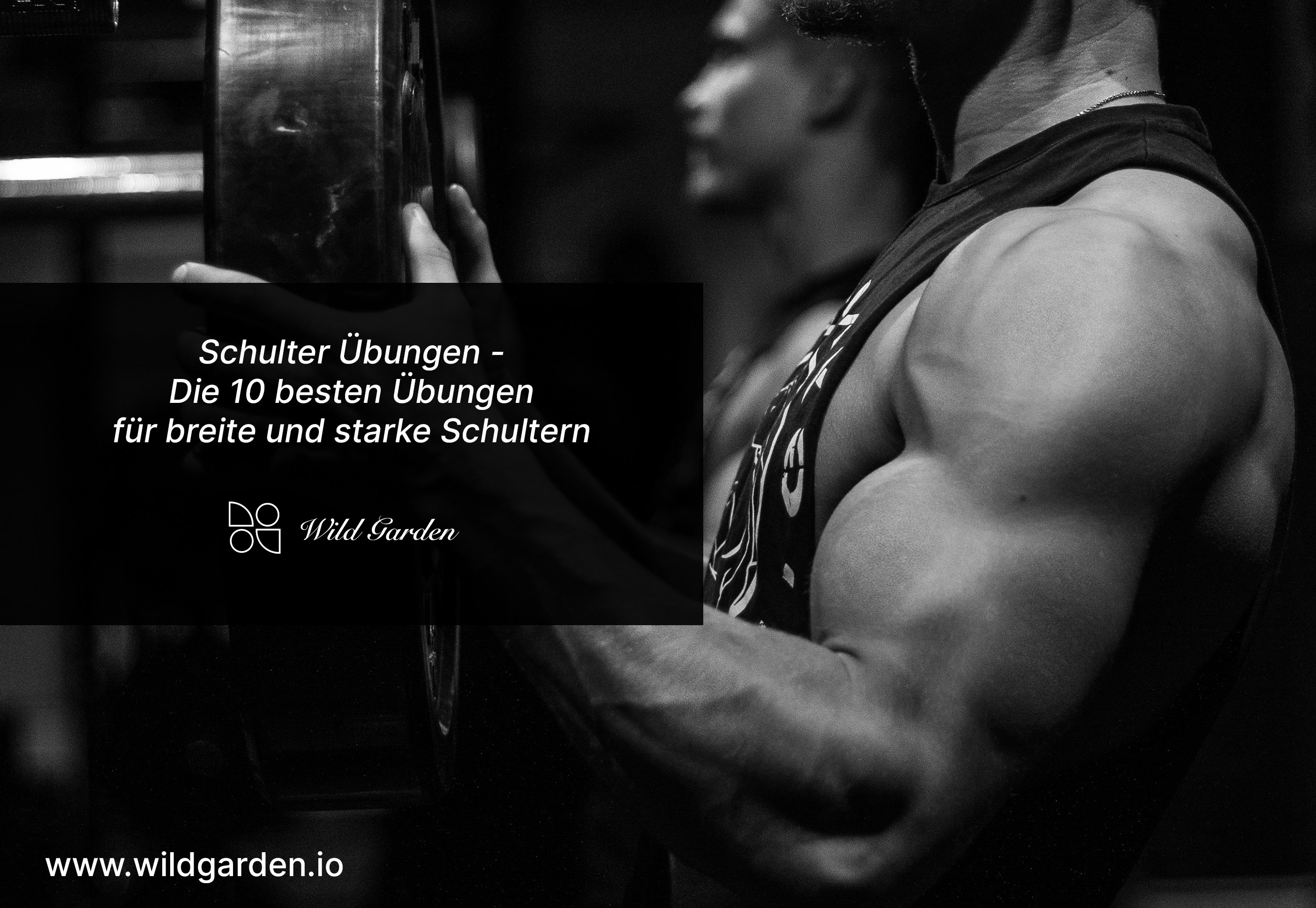 Schulter Übungen - Die 10 besten Übungen für breite und starke Schultern