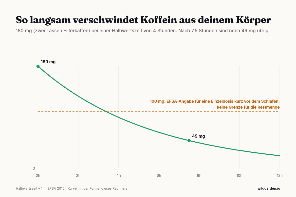 Abklingkurve von 180 mg Koffein über 12 Stunden bei 4 Stunden Halbwertszeit, mit der 100-mg-Angabe der EFSA für eine Einzeldosis kurz vor dem Schlafen
