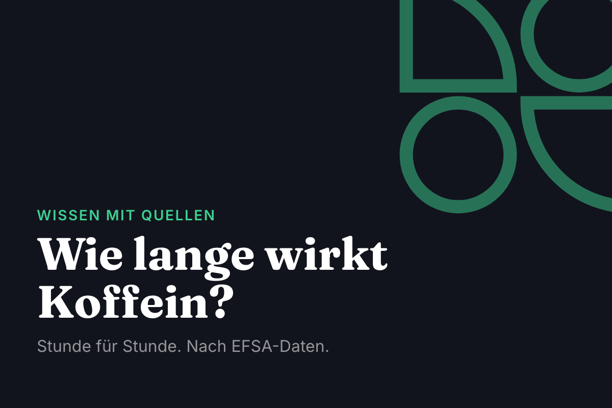 Titelkarte: Wie lange wirkt Koffein? Stunde für Stunde. Nach EFSA-Daten.