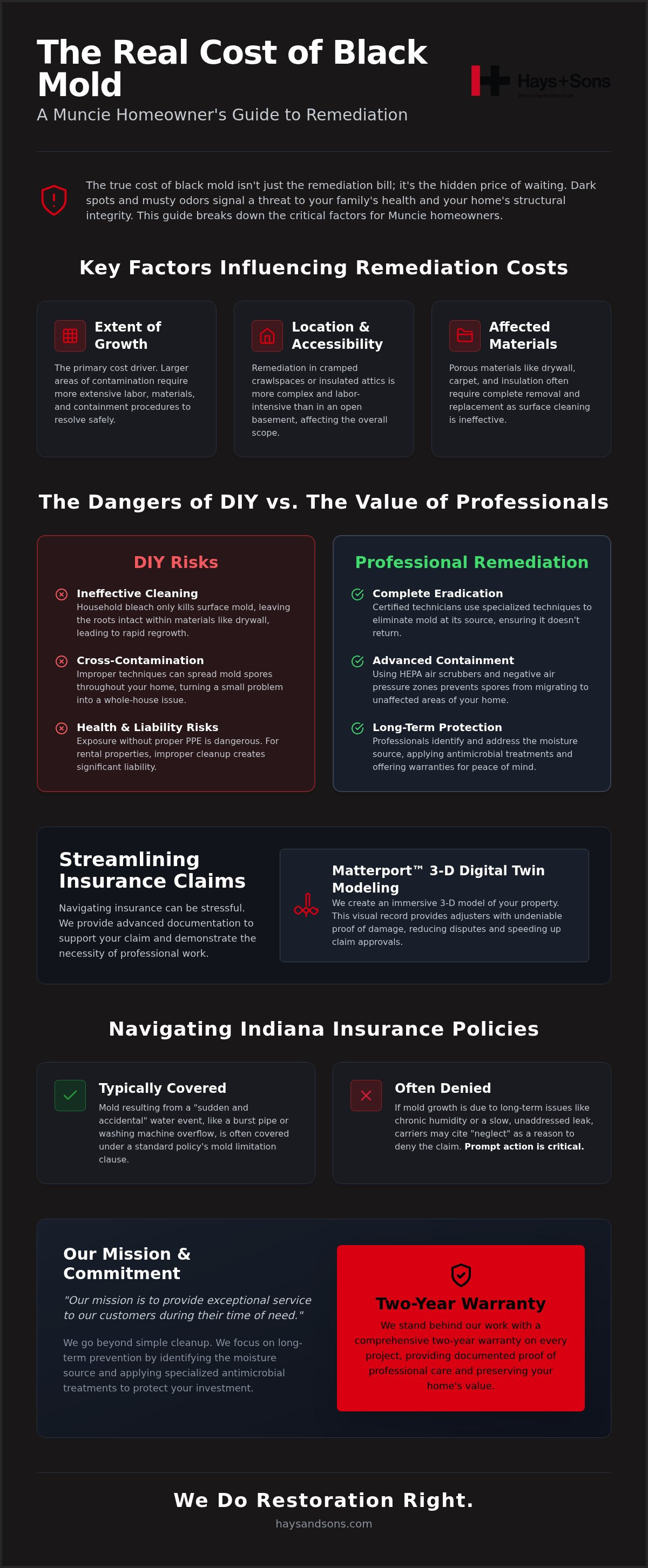 Black mold remediation cost Muncie