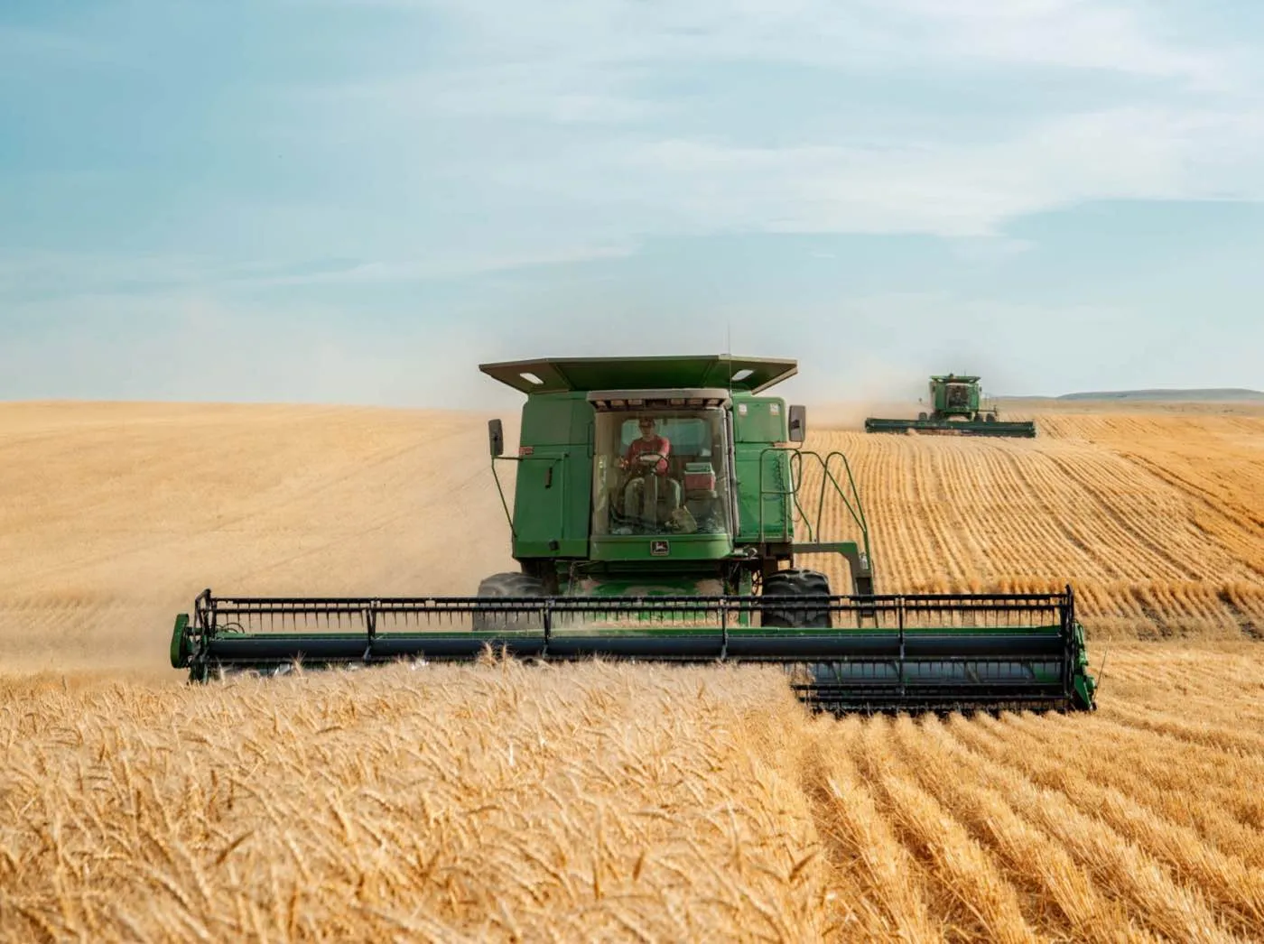 combine in wheat field at harvest